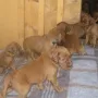 Und wir gehen schon selbstbewust aus unserem Schloss!