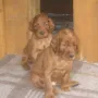 Wir haben alles unter Kontrolle!