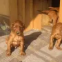 Schön, die Sonne lacht wieder!