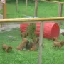 Wir sind sehr interessiert.