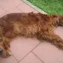 Mama Winny ruht sich derweilen aus.