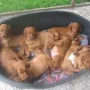 In unserem Korb machen wie Siesta.