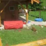 In unserem Schloß ist es einfach nur toll.