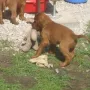 Das Spielzeug gehört MIR!