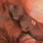 Rüde A ist der Erstgeborene um 4:00 Uhr!