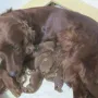 Bei Mama ist es am schönsten.