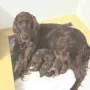 Wir sind nun zwei Tage alt.