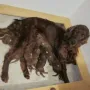 Bei Mama ist es schön.