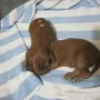 Wir zwei; sind ein Team!!