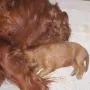 Bei Mama im Arm ist es schön.
