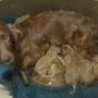 Bei Mama kuscheln; einfach toll.