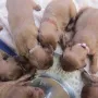 Es schmeckt...!
