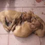 Wir schnuggeln zusammen.
