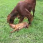 Hier bei unseren Tanten und Großtanten!