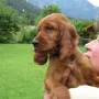 Und Leika ist ein wunderschönes Mädchen!