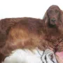 Nochmal ausruhen bevor es los geht.