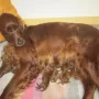 Mit Mama schlafen...