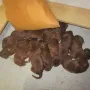 Und zusammen schlafen!!
