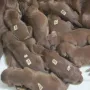 Kuscheln ist schön!