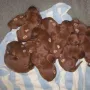Und testen schon mald das Hundebett.