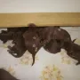 Wir sind jetzt 1 Woche alt.