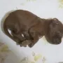 Ich auch, und müde...