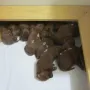 Jetzt sind wir 8 Tage alt.
