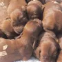 Zusammen sind wir stark!