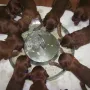 Doch wir stellen uns recht blöd an.