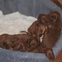 Und "danach" sind wir müde!