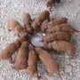 Das "Futtern" klappt schon ganz gut.