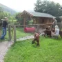 Wie in Hellabrunn!