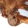 7:15 Uhr, unsere erste Prinzessin ist geboren