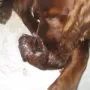 Und schon wird er von Mama versorgt