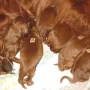 Frau 4 ist um 16:15 Uhr geboren.