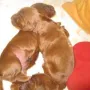 Liebe ist doch schön..)