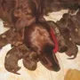 Mama bewacht uns.