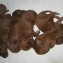 Ach wir sind müde..)