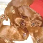 Wir kuscheln auch schon gerne.
