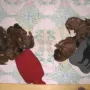 06.06.12; ab heute sind wir sieben. 