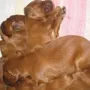 Wir sind schon gut beinand..)