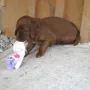 Das gehört jetzt mir"!