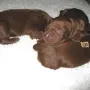 kuscheln ist einfach schön