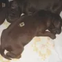 Schlafen, schlafen, schlafen....