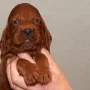Ich bin doch schon toll, oder? 
