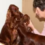Auch die Tanten besuchen uns
