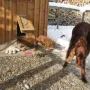 Unsere Tanten besuchen uns.