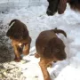Laufen im Schnee klappt schon.