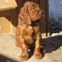 Ich bin auch dabei...))