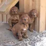 Wir genießen die letzten Tage in unserem Schloss.